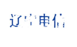 中國(guó)電信股份有限公司遼寧分公司